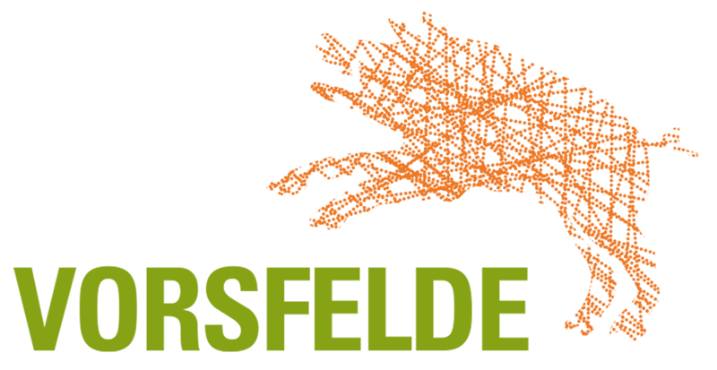 Logo Vorsfelde live